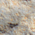 Gestein - Roccia 11 von 36