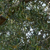 Umgebung - Dintorni Plakias 3 von 36