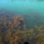 Aare 18 von 24