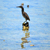 La Digue Fauna 18 von 36