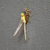 Libellula Aeshna cyanea 21 von 24