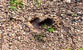 Fotogalerie Herzen Bild 71