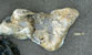 Fotogalerie Herzen Bild 73