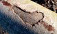 Fotogalerie Herzen Bild 76