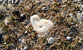 Fotogalerie Herzen Bild 77