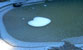 Fotogalerie Herzen Bild 79