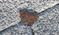Fotogalerie Herzen Bild 80
