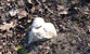 Fotogalerie Herzen Bild 82