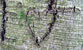 Fotogalerie Herzen Bild 83