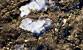Fotogalerie Herzen Bild 87