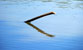 Fotogalerie Wasser Bild 3